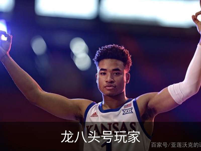 龙八头号玩家概况